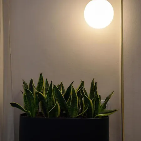 Apartament Regina's Downtown By Corfuescapes *