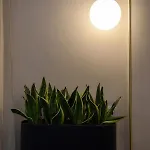 Apartament Regina's Downtown By Corfuescapes *